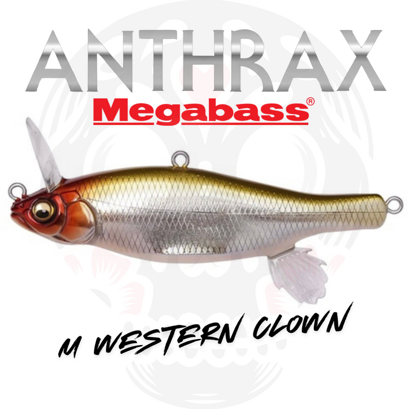 Load image into Gallery viewer, Megabass Anthrax
