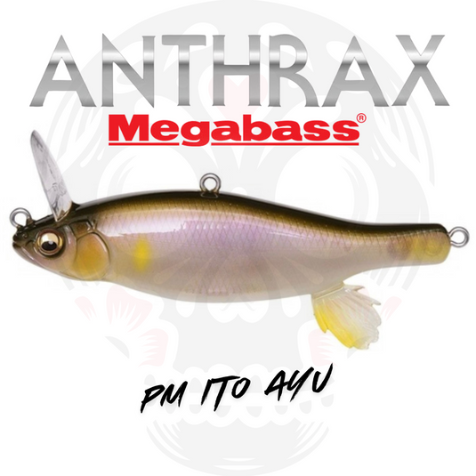 Megabass Anthrax