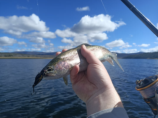 Taco - River and Lake Trout