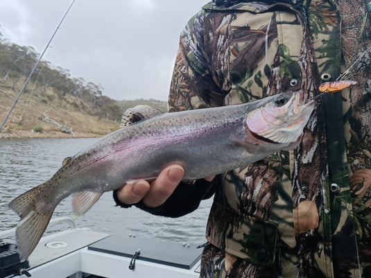 Taco - River and Lake Trout