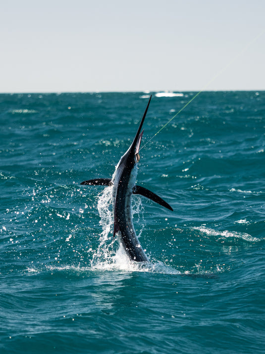 3Pcs Stainless Steel Big Game Bait Hooks Tuna Shark Fishing