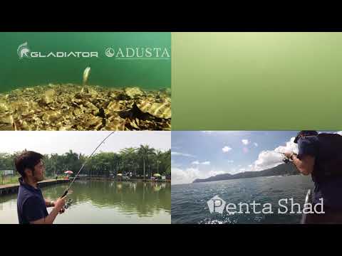 Load and play video in Gallery viewer, Adusta Penta Shad 4&quot;
